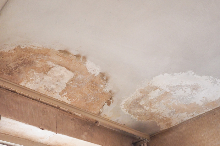 The leading cause behind dampness in your house