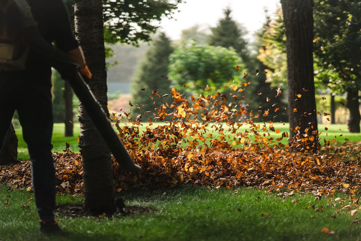 Green Cleaning