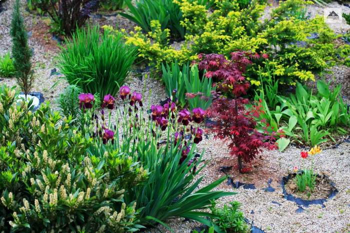 Mulch Borders And Rock Yard