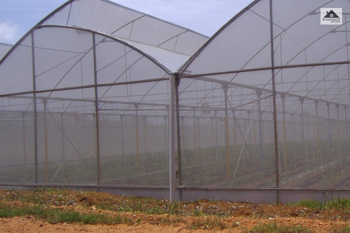 Polycarbonate On Chain Link Fence