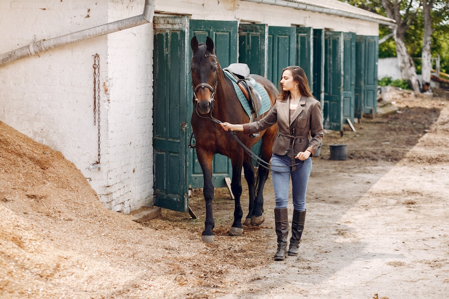 building your horse barn