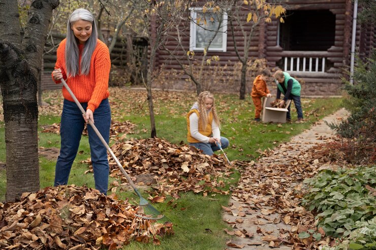 Debris and Yard Waste Cleanup