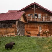 Cedarshed Farmhouse