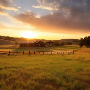 Ranching On Texas Land