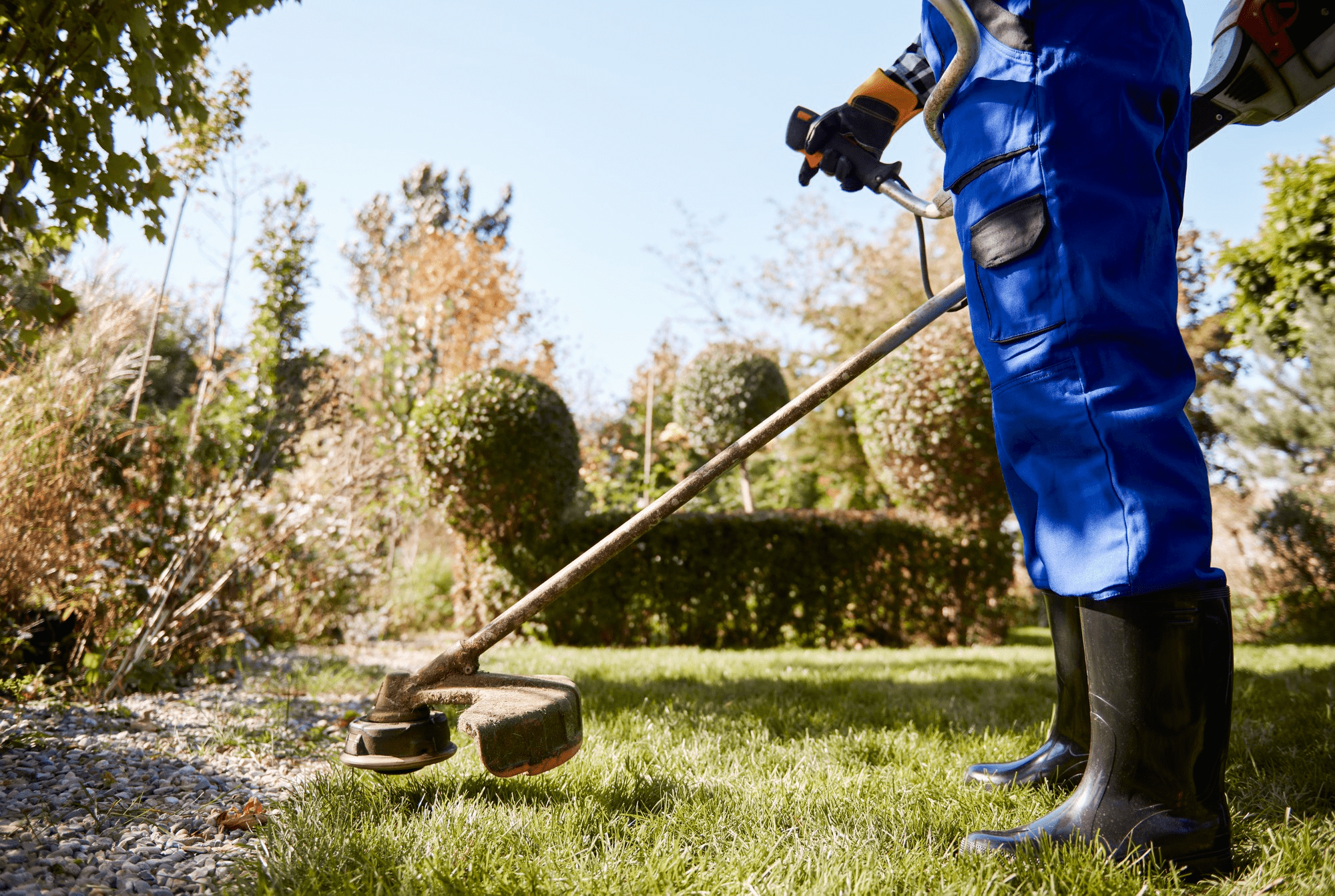 Hiring Professional Landscapers